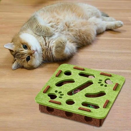 Cat Puzzle Toy