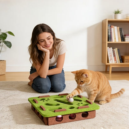 Cat Puzzle Toy